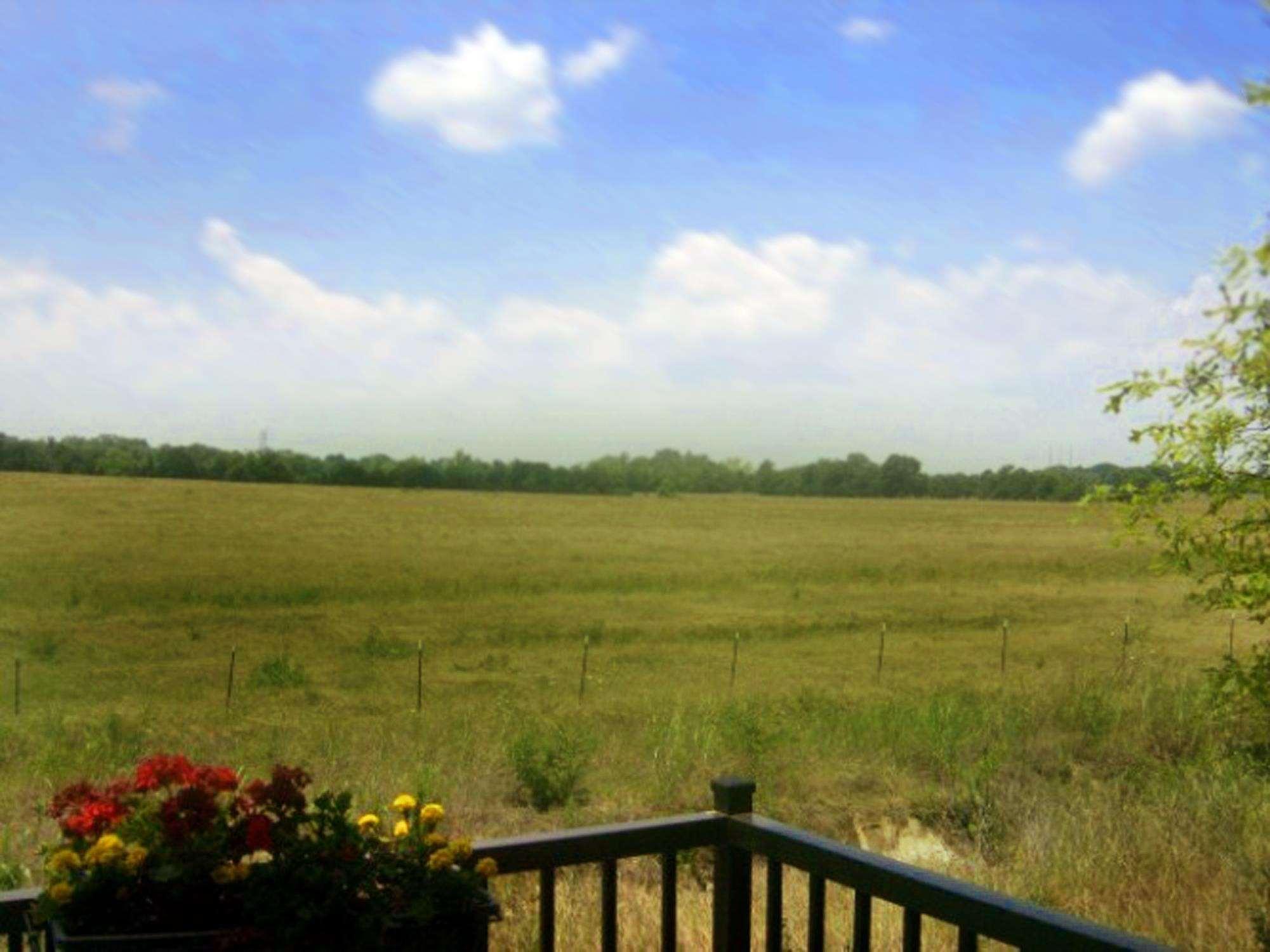 Hampton Montgomery-south-airport Hotel Hope Hull